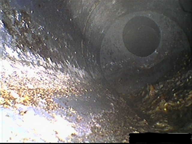 Відеодіагностика каналізаційного стояка. Львів вул.Золота